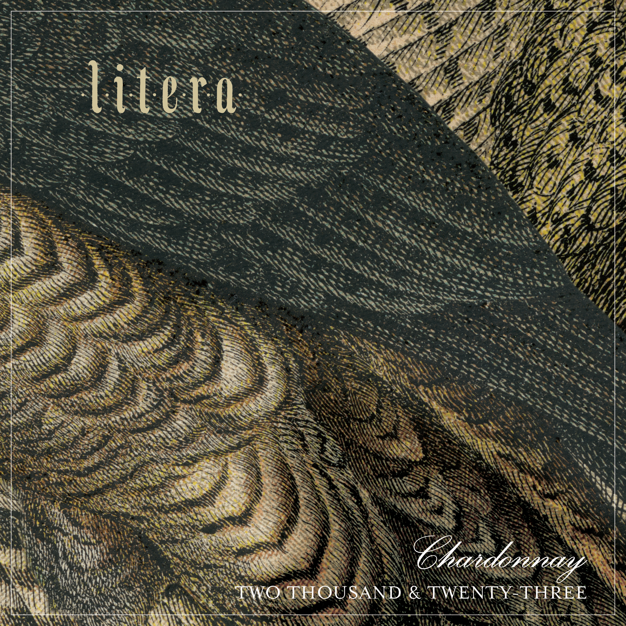 Litera label